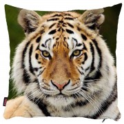 Kaplan Yastık Kılıfı